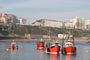 Red fishing boats