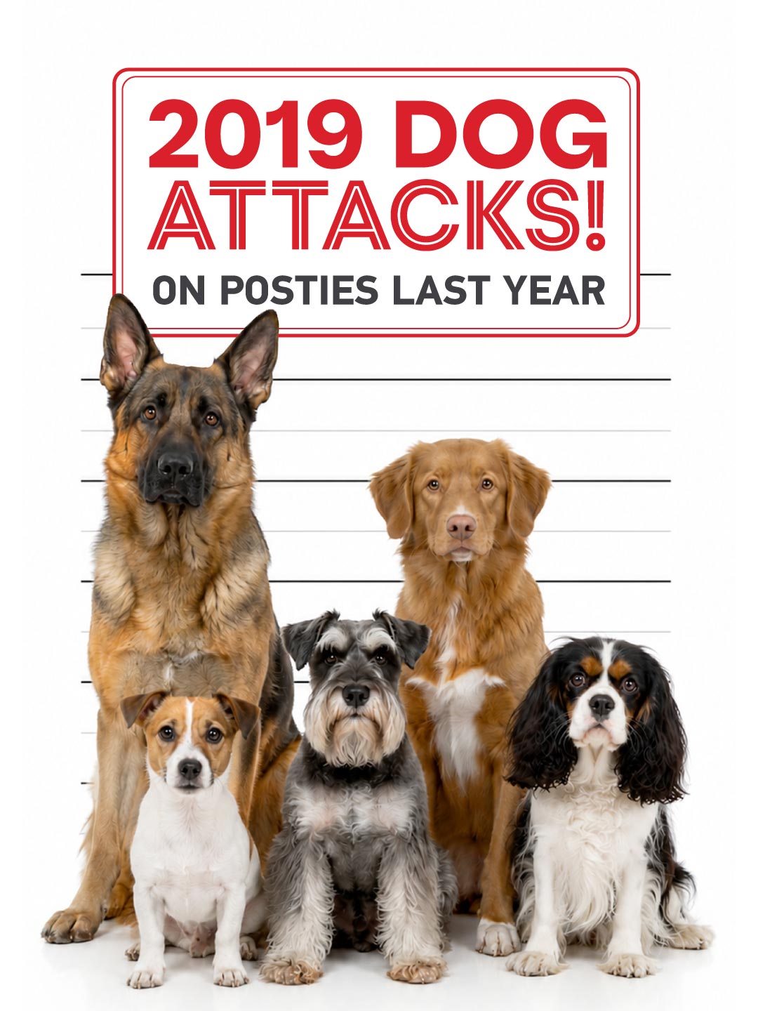 2019 dog attacks on posties in 2025